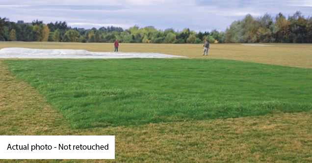Winter Turf Growth Cover